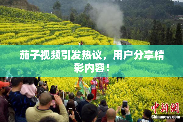 茄子视频引发热议，用户分享精彩内容！