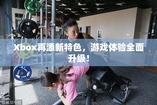 Xbox再添新特色，游戏体验全面升级！