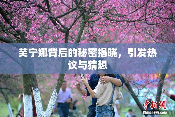 芙宁娜背后的秘密揭晓，引发热议与猜想