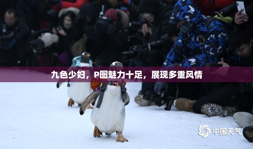 九色少妇，P图魅力十足，展现多重风情