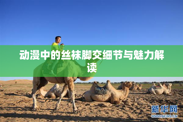动漫中的丝袜脚交细节与魅力解读