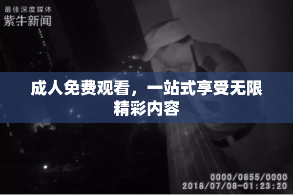 成人免费观看，一站式享受无限精彩内容