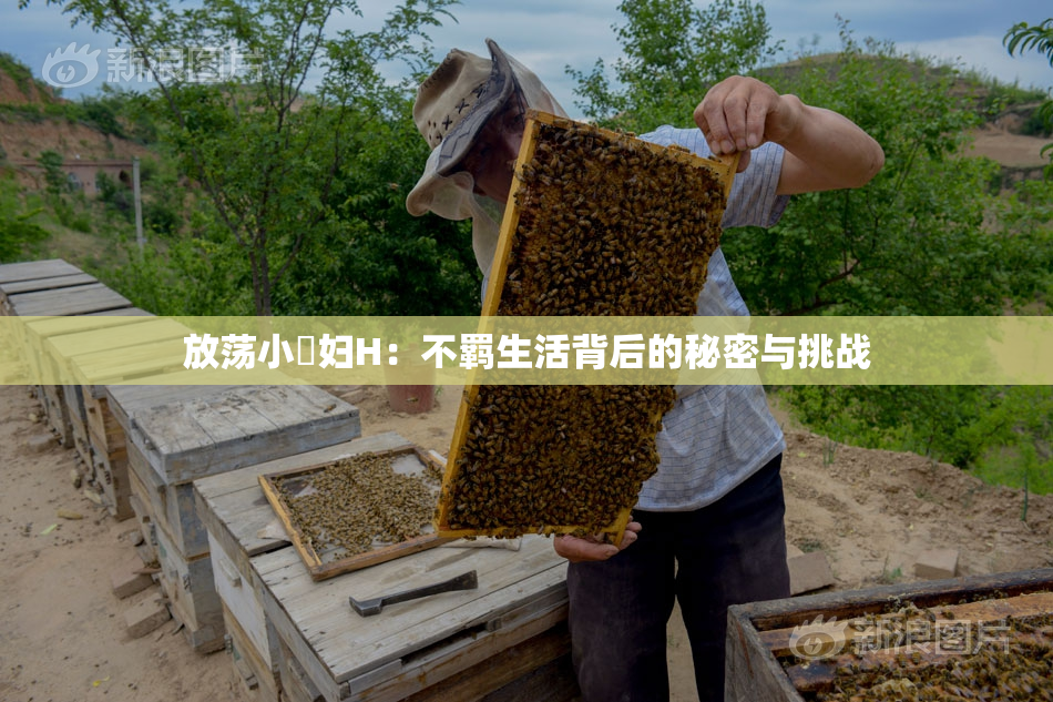 放荡小婬妇H：不羁生活背后的秘密与挑战