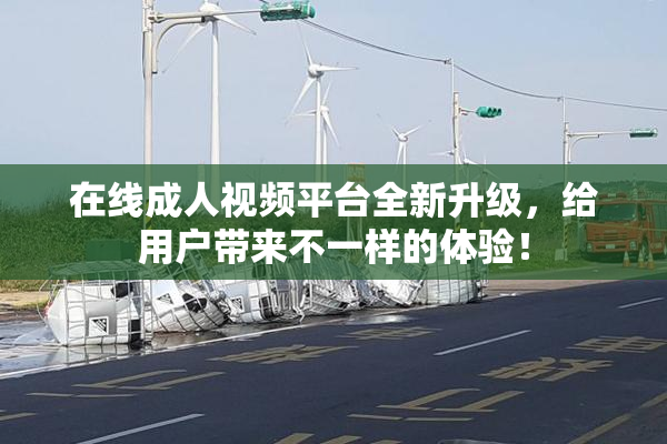 在线成人视频平台全新升级，给用户带来不一样的体验！
