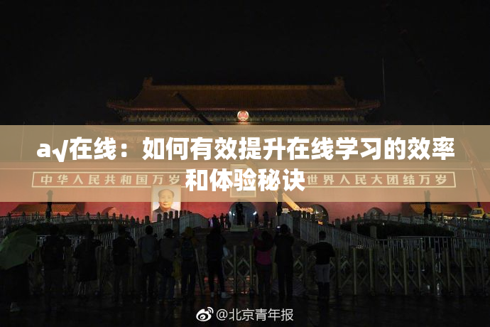 a√在线：如何有效提升在线学习的效率和体验秘诀