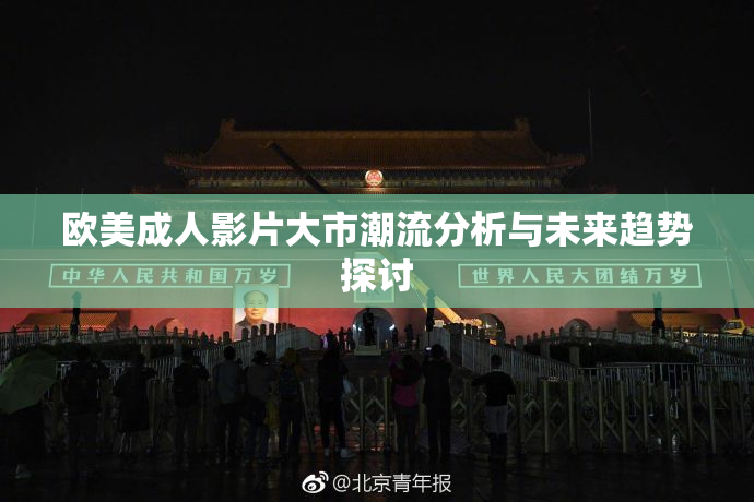 欧美成人影片大市潮流分析与未来趋势探讨
