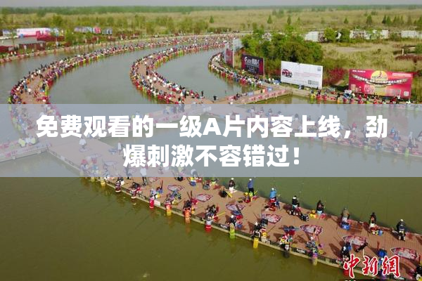 免费观看的一级A片内容上线，劲爆刺激不容错过！
