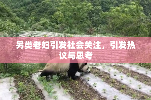 另类老妇引发社会关注，引发热议与思考