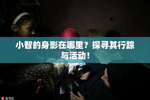 小智的身影在哪里？探寻其行踪与活动！