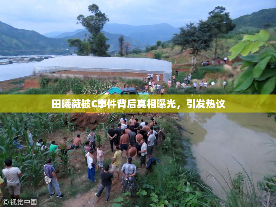 田曦薇被C事件背后真相曝光，引发热议