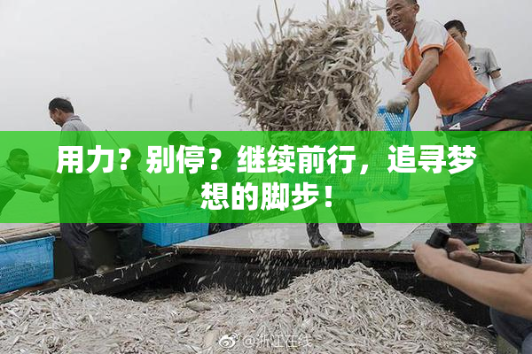 用力？别停？继续前行，追寻梦想的脚步！
