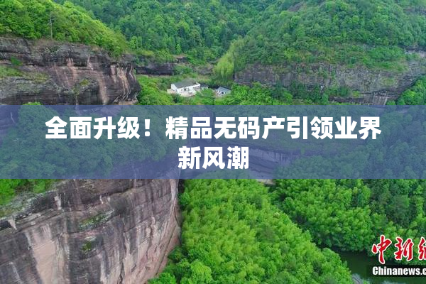 全面升级！精品无码产引领业界新风潮