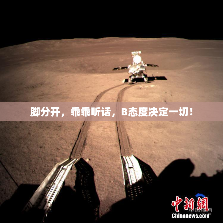 脚分开，乖乖听话，B态度决定一切！