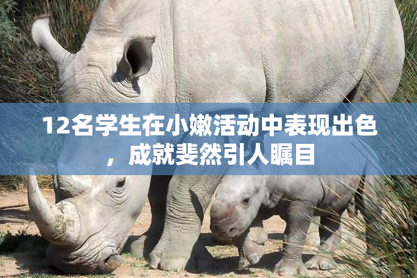 12名学生在小嫩活动中表现出色，成就斐然引人瞩目