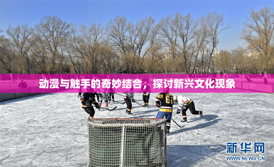 动漫与触手的奇妙结合，探讨新兴文化现象