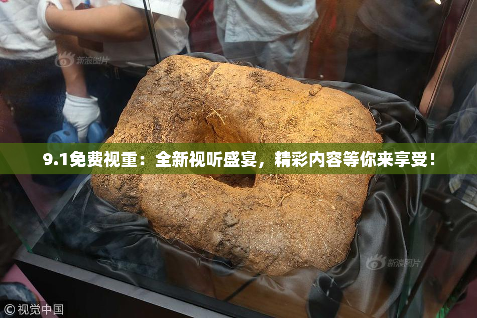 9.1免费视重：全新视听盛宴，精彩内容等你来享受！