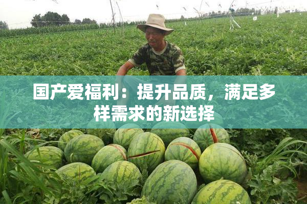 国产爱福利：提升品质，满足多样需求的新选择