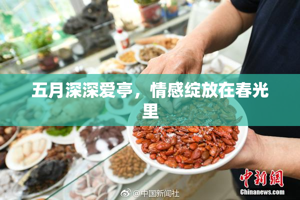 五月深深爱亭，情感绽放在春光里
