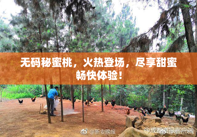 无码秘蜜桃，火热登场，尽享甜蜜畅快体验！