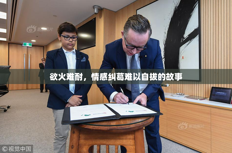 欲火难耐，情感纠葛难以自拔的故事