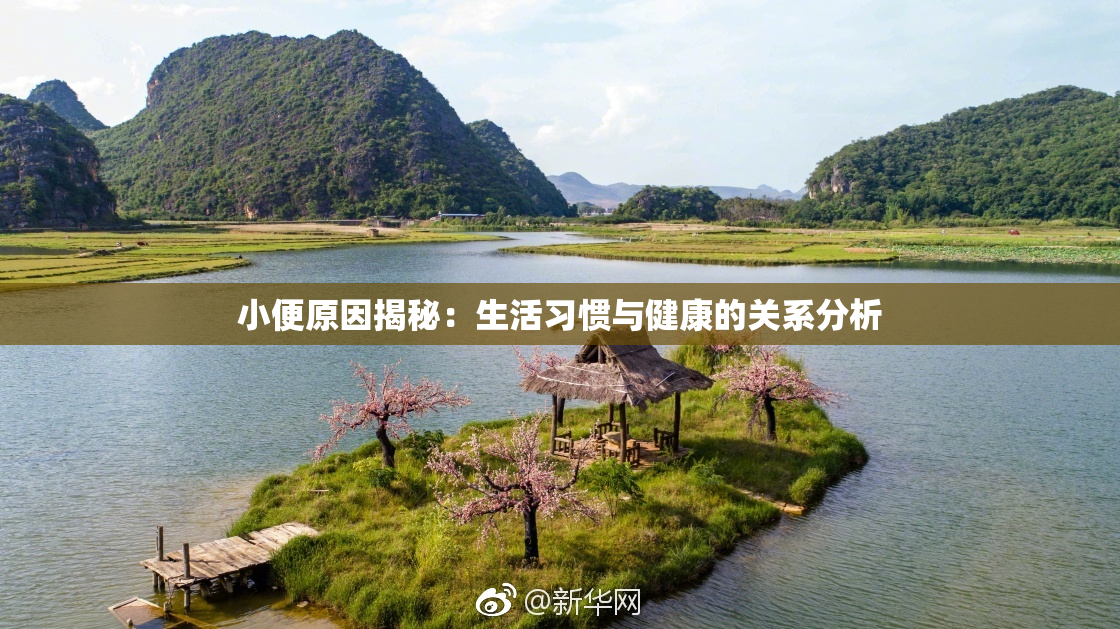 小便原因揭秘：生活习惯与健康的关系分析