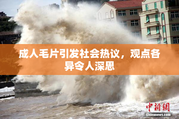 成人毛片引发社会热议，观点各异令人深思