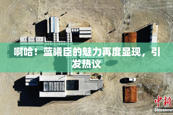 啊哈！蓝曦臣的魅力再度显现，引发热议