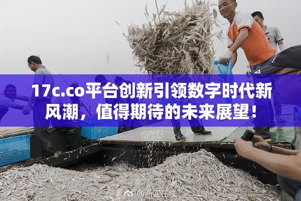 17c.co平台创新引领数字时代新风潮，值得期待的未来展望！