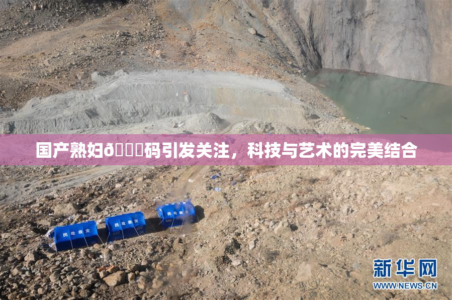 国产熟妇🈚码引发关注，科技与艺术的完美结合