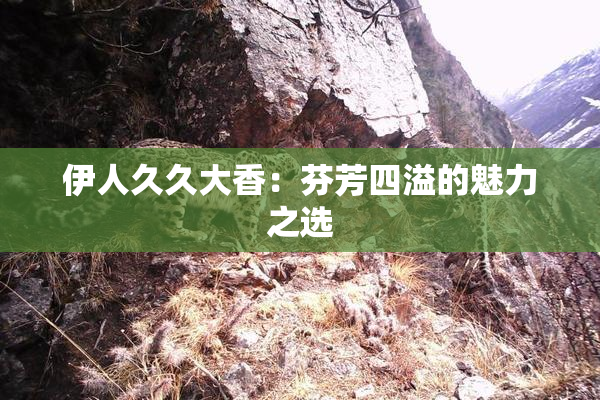 伊人久久大香：芬芳四溢的魅力之选