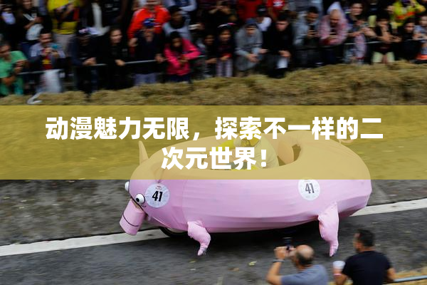 动漫魅力无限，探索不一样的二次元世界！