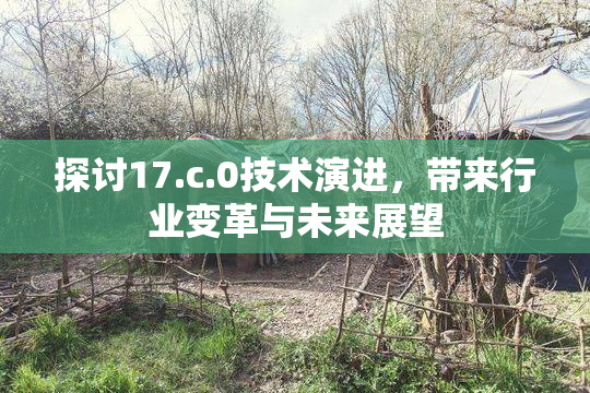 探讨17.c.0技术演进，带来行业变革与未来展望