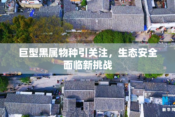 巨型黑属物种引关注，生态安全面临新挑战