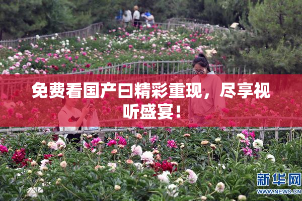 免费看国产曰精彩重现，尽享视听盛宴！