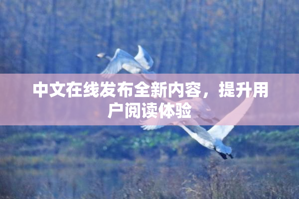 中文在线发布全新内容，提升用户阅读体验