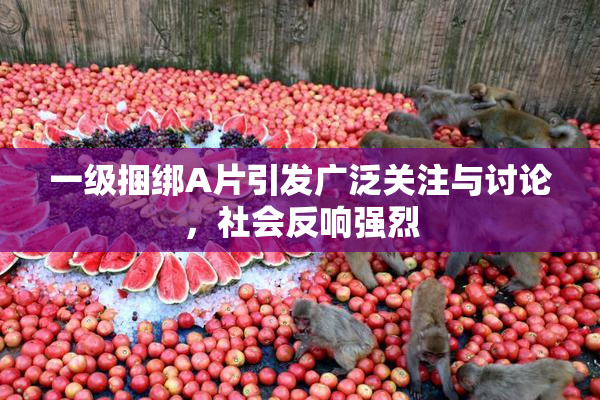 一级捆绑A片引发广泛关注与讨论，社会反响强烈