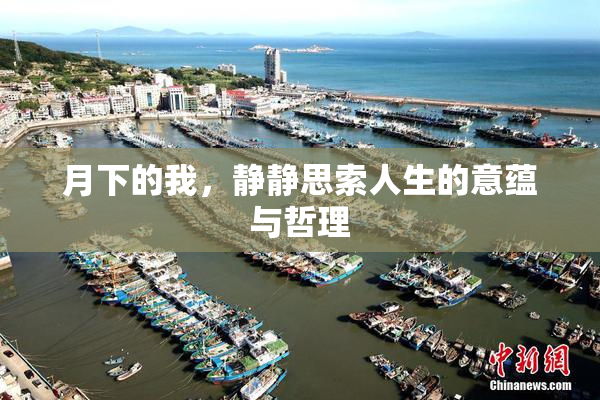月下的我，静静思索人生的意蕴与哲理