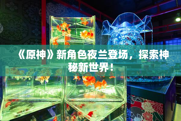 《原神》新角色夜兰登场，探索神秘新世界！