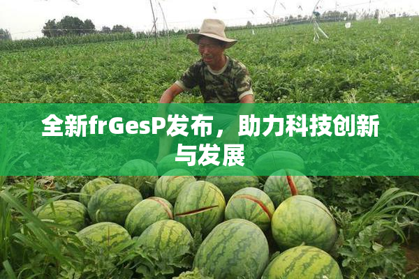 全新frGesP发布，助力科技创新与发展