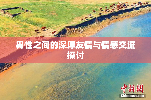 男性之间的深厚友情与情感交流探讨
