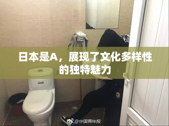 日本是A，展现了文化多样性的独特魅力
