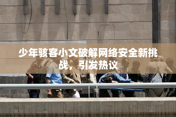 少年骇客小文破解网络安全新挑战，引发热议