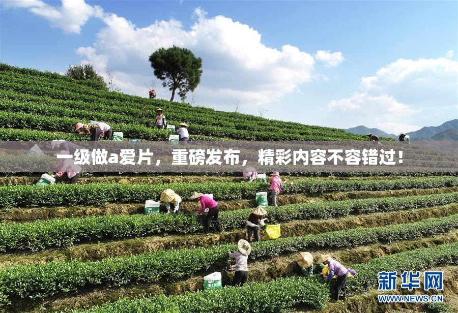 一级做a爱片，重磅发布，精彩内容不容错过！
