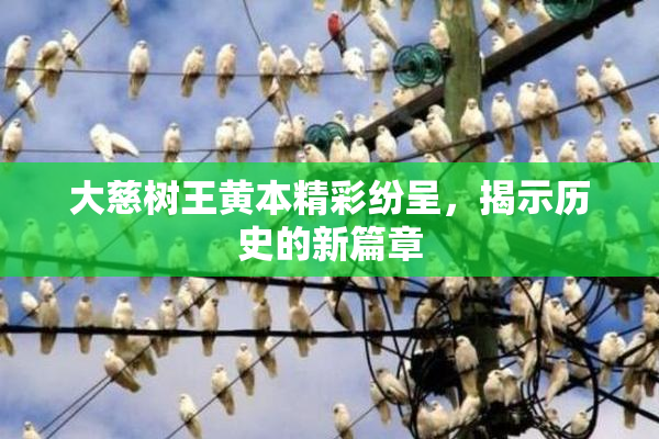 大慈树王黄本精彩纷呈，揭示历史的新篇章