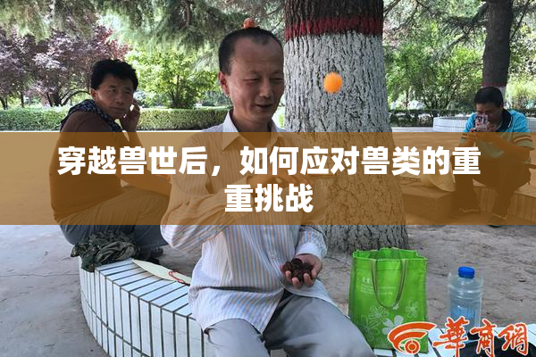 穿越兽世后，如何应对兽类的重重挑战