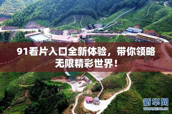 91看片入口全新体验，带你领略无限精彩世界！