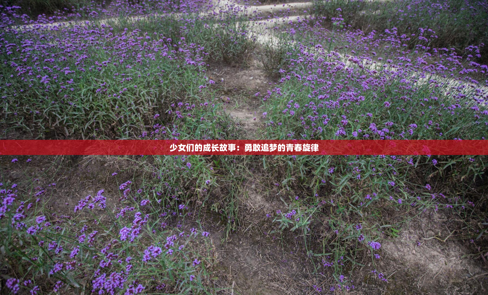 少女们的成长故事：勇敢追梦的青春旋律