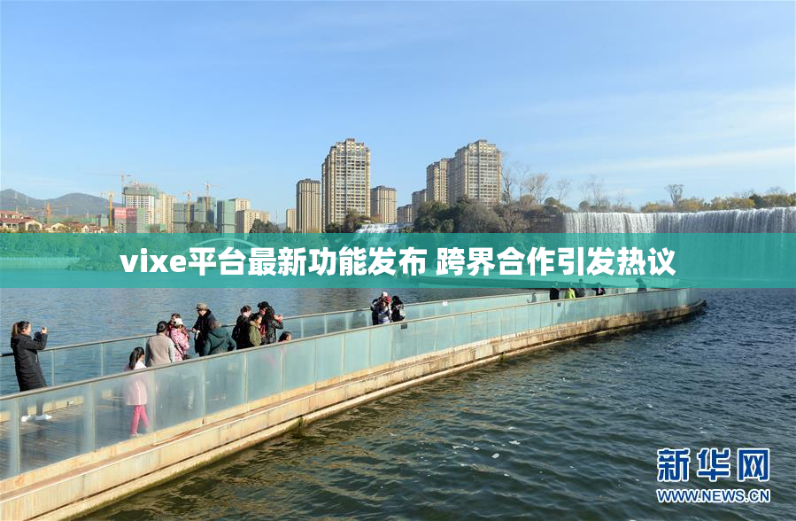 vixe平台最新功能发布 跨界合作引发热议
