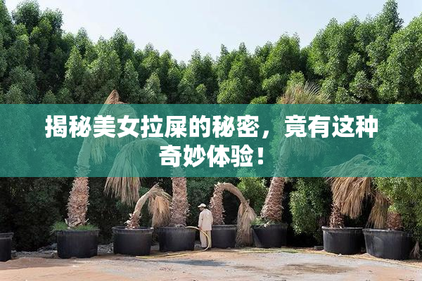 揭秘美女拉屎的秘密，竟有这种奇妙体验！