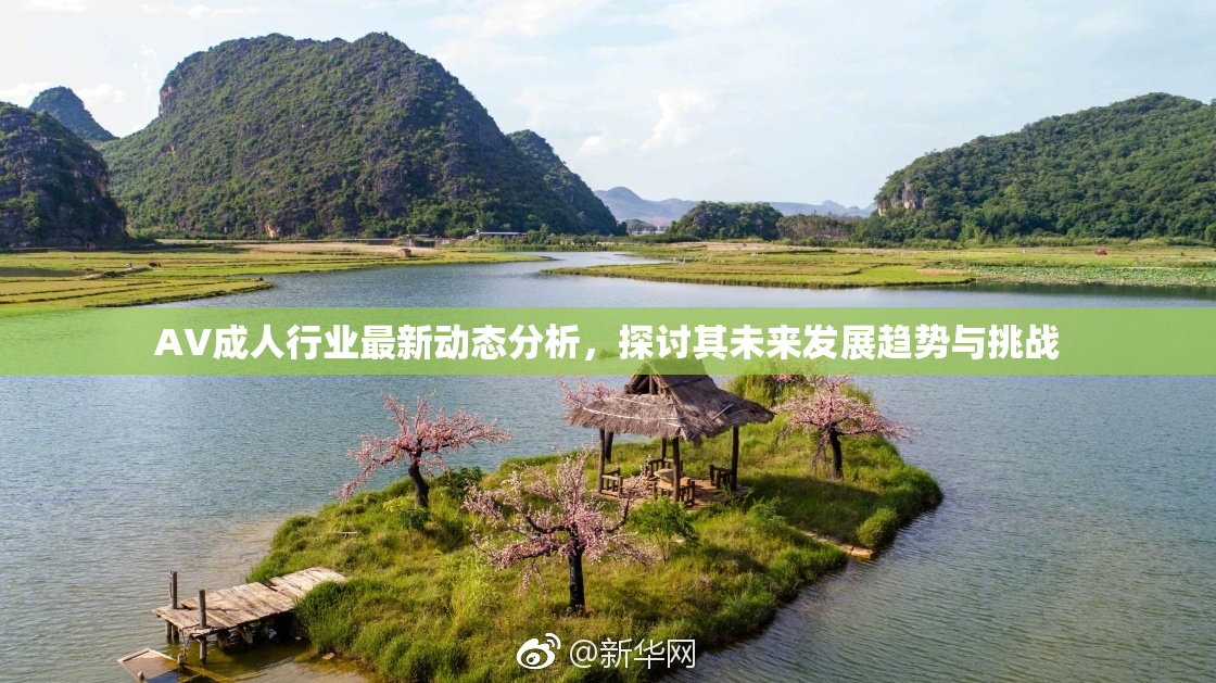 AV成人行业最新动态分析，探讨其未来发展趋势与挑战
